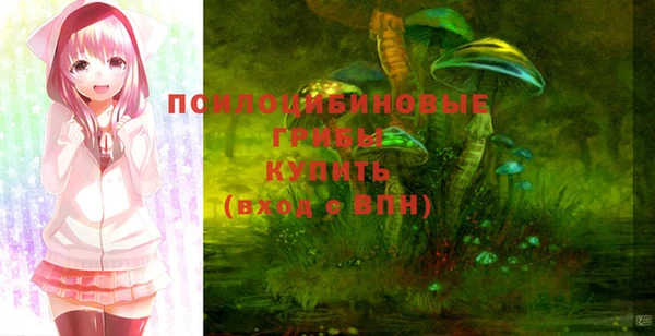 mdpv Гусь-Хрустальный