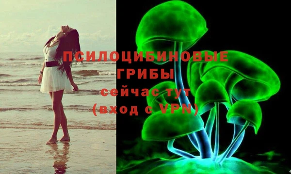 MDMA Premium VHQ Гусев