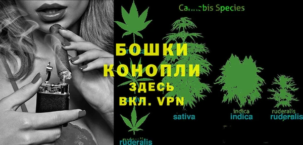 mdpv Гусь-Хрустальный